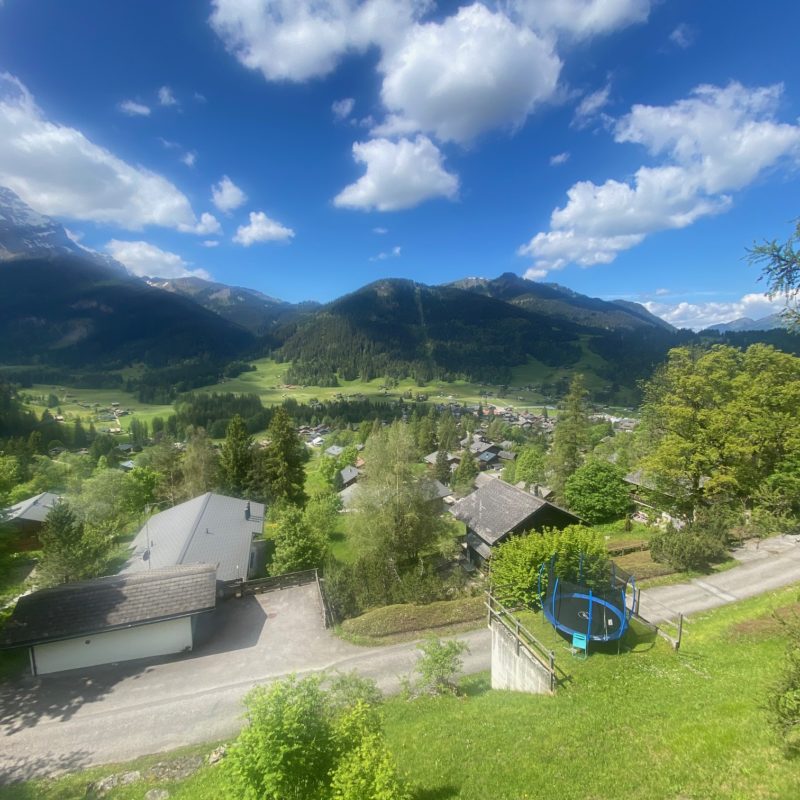 CONDOMINIUM LISE-MARIE 2BEAUTIFUL APARTMENT VERY CALM AND EASY-TO-ACCESS TRANSLATION MAGNIFICIENT VIEW ON THE VILLAGE AND THE MASSIF DIABLERETS