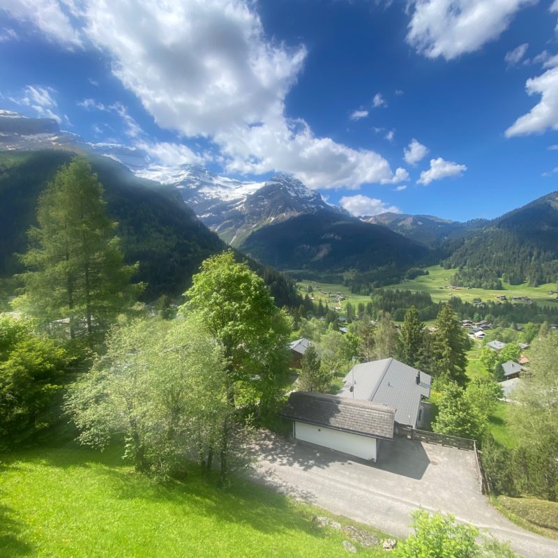 PPE LISE-MARIE 2SUPERBE APPARTEMENT FACILE D'ACCES ET TRES TRANQUILLE VUE MAGNIFIQUE SUR LE MASSIF DES DIABLERETS 