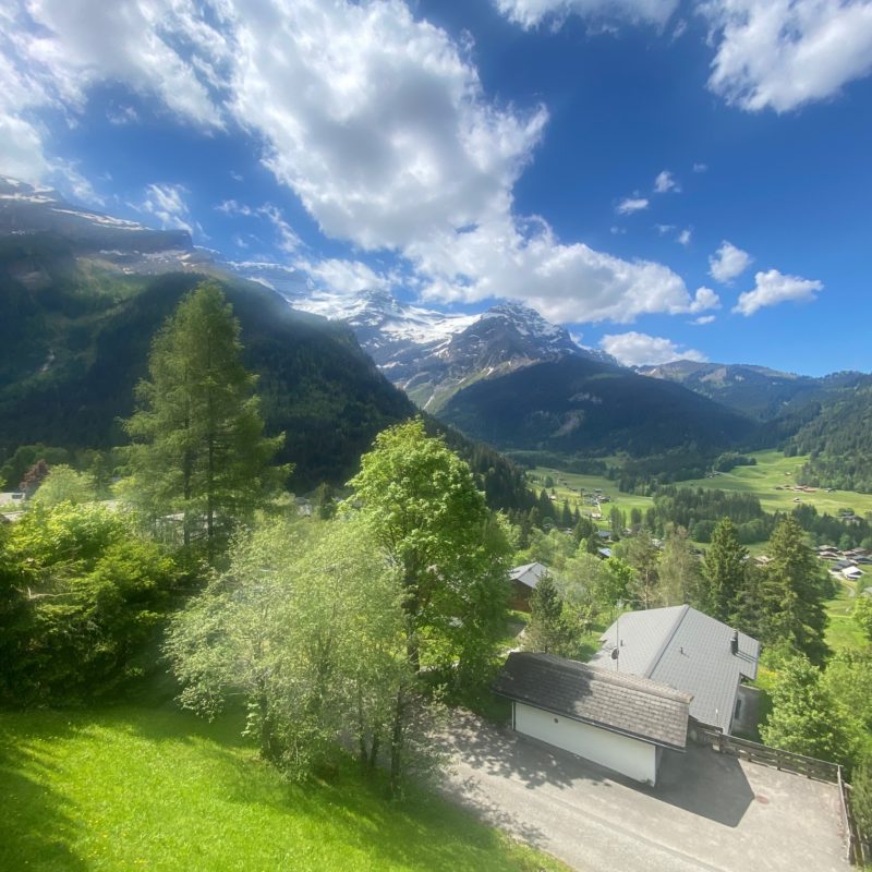 CONDOMINIUM LISE-MARIE 2BEAUTIFUL APARTMENT VERY CALM AND EASY-TO-ACCESS TRANSLATION MAGNIFICIENT VIEW ON THE VILLAGE AND THE MASSIF DIABLERETS