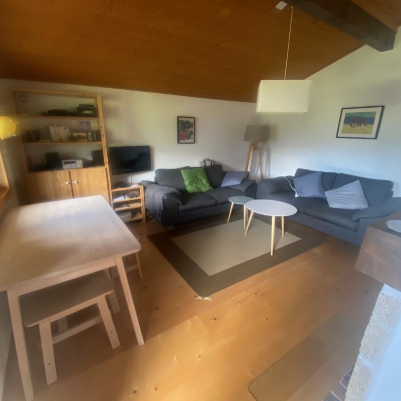 PPE LISE-MARIE 2SUPERBE APPARTEMENT FACILE D'ACCES ET TRES TRANQUILLE VUE MAGNIFIQUE SUR LE MASSIF DES DIABLERETS 