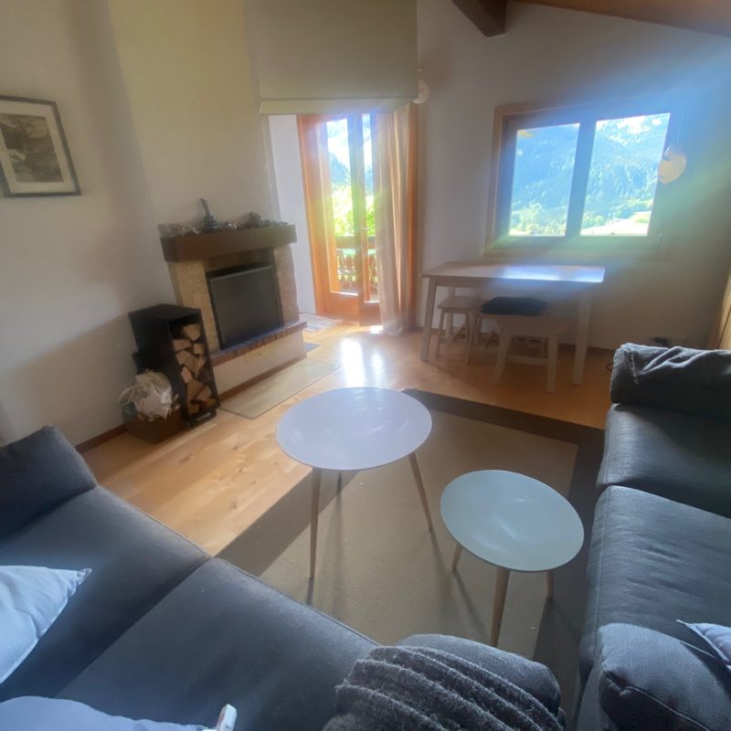 CONDOMINIUM LISE-MARIE 2BEAUTIFUL APARTMENT VERY CALM AND EASY-TO-ACCESS TRANSLATION MAGNIFICIENT VIEW ON THE VILLAGE AND THE MASSIF DIABLERETS