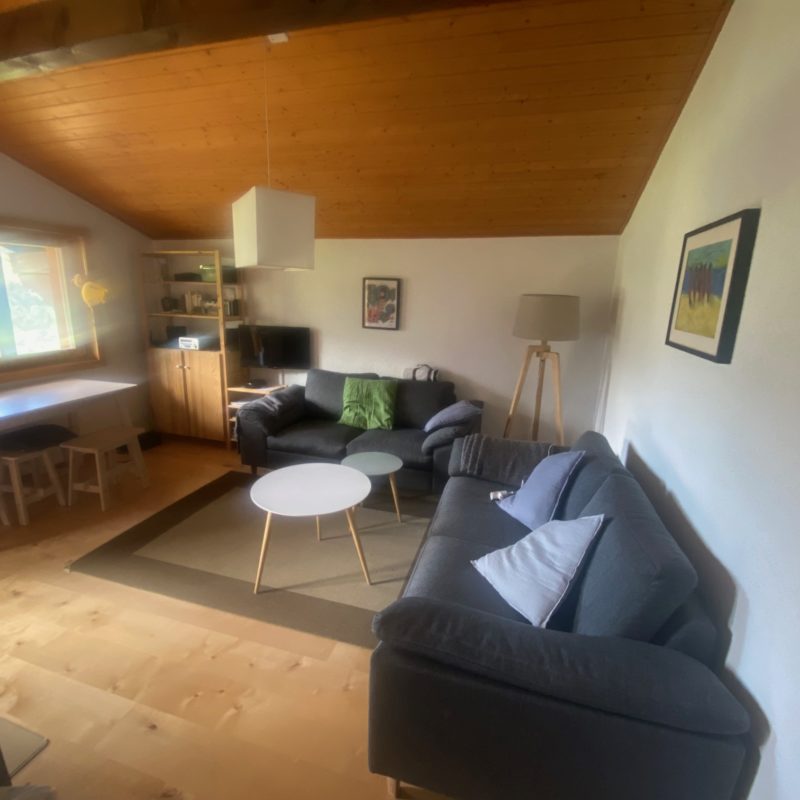 PPE LISE-MARIE 2SUPERBE APPARTEMENT FACILE D'ACCES ET TRES TRANQUILLE VUE MAGNIFIQUE SUR LE MASSIF DES DIABLERETS 