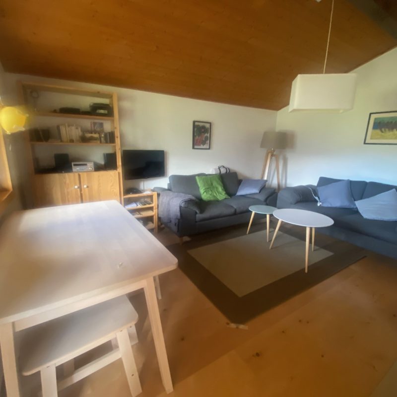 CONDOMINIUM LISE-MARIE 2BEAUTIFUL APARTMENT VERY CALM AND EASY-TO-ACCESS TRANSLATION MAGNIFICIENT VIEW ON THE VILLAGE AND THE MASSIF DIABLERETS