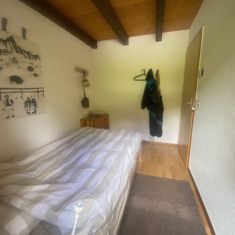 PPE LISE-MARIE 2SUPERBE APPARTEMENT FACILE D'ACCES ET TRES TRANQUILLE VUE MAGNIFIQUE SUR LE MASSIF DES DIABLERETS 