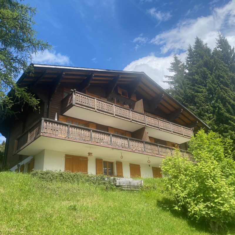 PPE LISE-MARIE 2SUPERBE APPARTEMENT FACILE D'ACCES ET TRES TRANQUILLE VUE MAGNIFIQUE SUR LE MASSIF DES DIABLERETS 