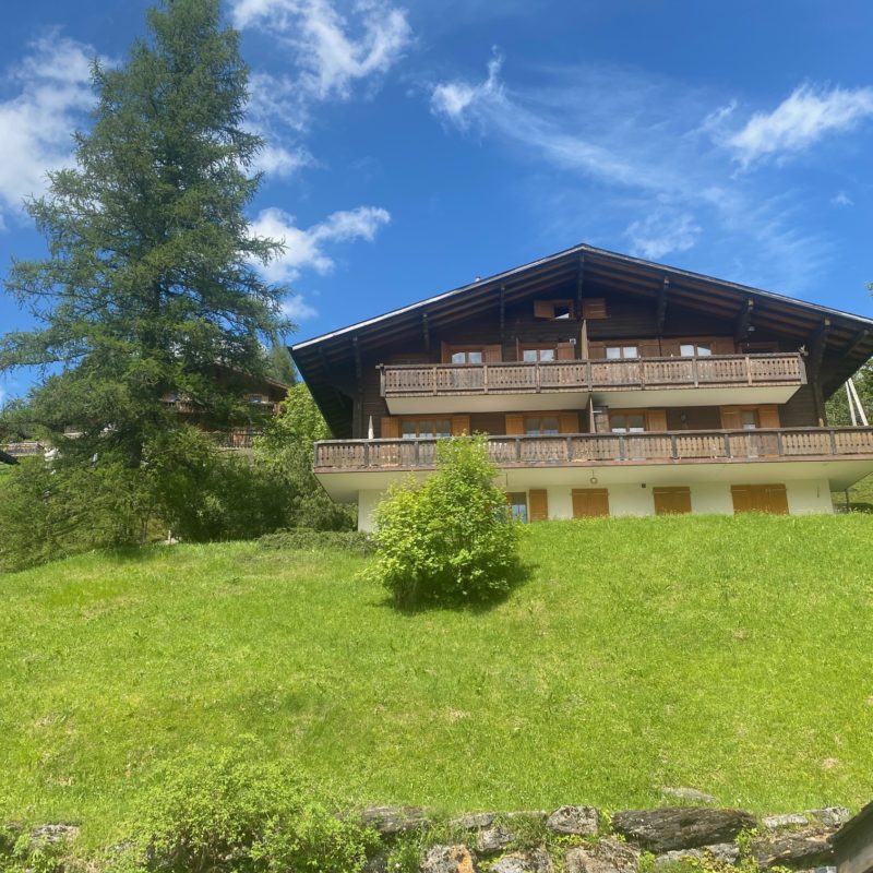 PPE LISE-MARIE 2SUPERBE APPARTEMENT FACILE D'ACCES ET TRES TRANQUILLE VUE MAGNIFIQUE SUR LE MASSIF DES DIABLERETS 