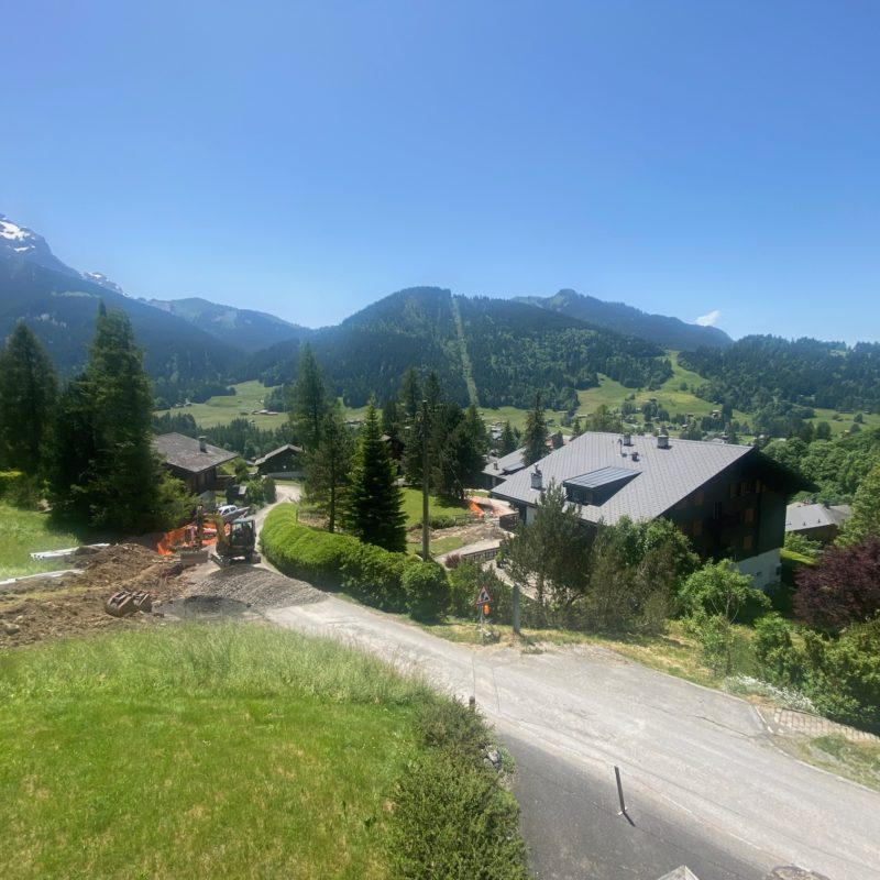 « LE MARTINET »CHALET EN MADRIER  EXCEPTIONNEL AVEC UN GARAGE MAGNIFIQUE VUE SUR LE MASSIF DES DIABLERETS TRANQUILLE A 7 MINUTES DU VILLAGE