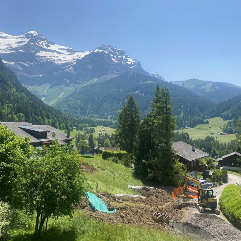 « LE MARTINET »CHALET EN MADRIER  EXCEPTIONNEL AVEC UN GARAGE MAGNIFIQUE VUE SUR LE MASSIF DES DIABLERETS TRANQUILLE A 7 MINUTES DU VILLAGE