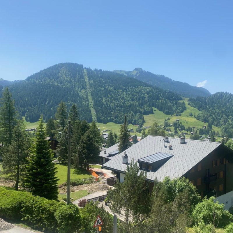 « LE MARTINET »CHALET EN MADRIER  EXCEPTIONNEL AVEC UN GARAGE MAGNIFIQUE VUE SUR LE MASSIF DES DIABLERETS TRANQUILLE A 7 MINUTES DU VILLAGE