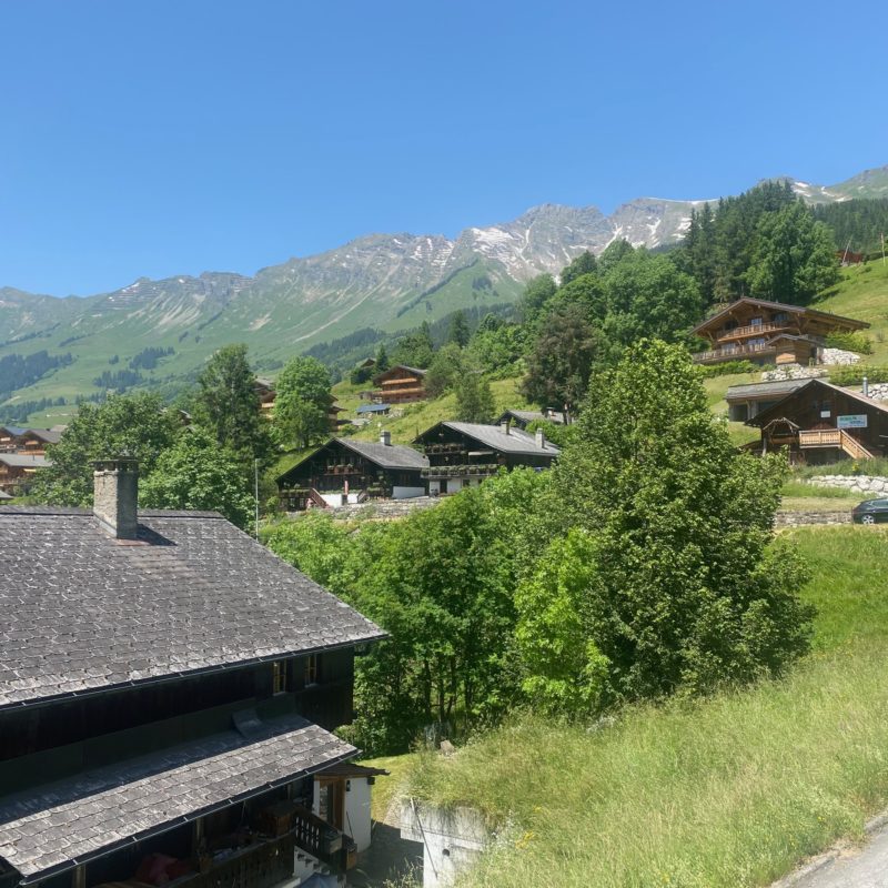 « LE MARTINET »CHALET EN MADRIER  EXCEPTIONNEL AVEC UN GARAGE MAGNIFIQUE VUE SUR LE MASSIF DES DIABLERETS TRANQUILLE A 7 MINUTES DU VILLAGE