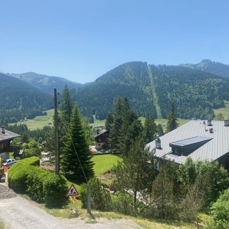 « LE MARTINET »CHALET EN MADRIER  EXCEPTIONNEL AVEC UN GARAGE MAGNIFIQUE VUE SUR LE MASSIF DES DIABLERETS TRANQUILLE A 7 MINUTES DU VILLAGE