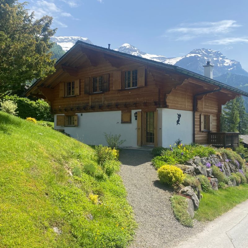 “LE MARTINET”CHALET EN MADRIER  EXCEPTIONNEL AVEC UN GARAGE MAGNIFIQUE VUE SUR LE MASSIF DES DIABLERETS TRANQUILLE A 7 MINUTES DU VILLAGE