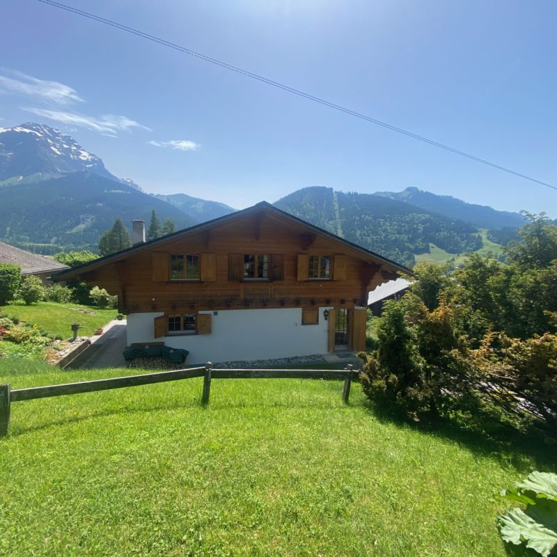 « LE MARTINET »CHALET EN MADRIER  EXCEPTIONNEL AVEC UN GARAGE MAGNIFIQUE VUE SUR LE MASSIF DES DIABLERETS TRANQUILLE A 7 MINUTES DU VILLAGE