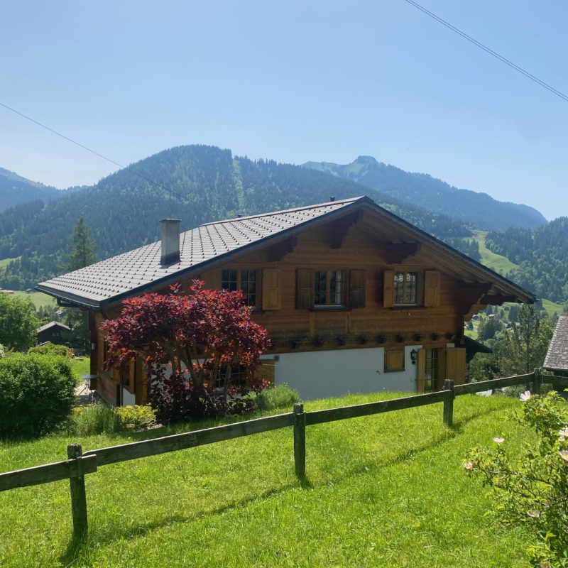 “LE MARTINET”CHALET EN MADRIER  EXCEPTIONNEL AVEC UN GARAGE MAGNIFIQUE VUE SUR LE MASSIF DES DIABLERETS TRANQUILLE A 7 MINUTES DU VILLAGE