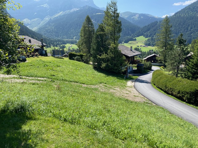 “LE MARTINET”CHALET EN MADRIER  EXCEPTIONNEL AVEC UN GARAGE MAGNIFIQUE VUE SUR LE MASSIF DES DIABLERETS TRANQUILLE A 7 MINUTES DU VILLAGE