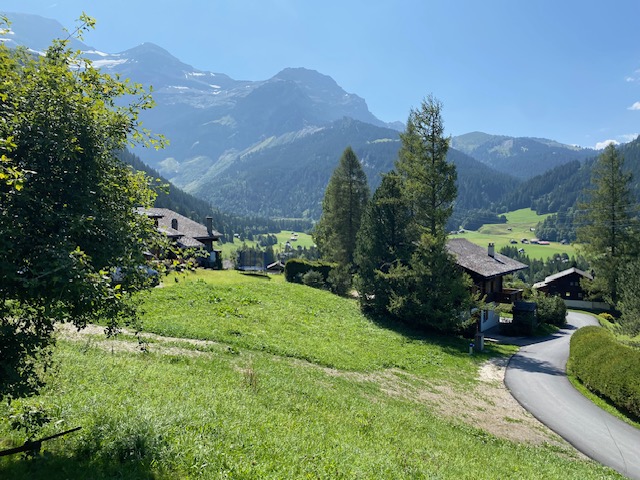 « LE MARTINET »CHALET EN MADRIER  EXCEPTIONNEL AVEC UN GARAGE MAGNIFIQUE VUE SUR LE MASSIF DES DIABLERETS TRANQUILLE A 7 MINUTES DU VILLAGE