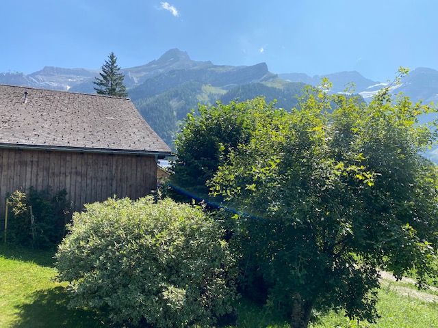 “LE MARTINET”CHALET EN MADRIER  EXCEPTIONNEL AVEC UN GARAGE MAGNIFIQUE VUE SUR LE MASSIF DES DIABLERETS TRANQUILLE A 7 MINUTES DU VILLAGE