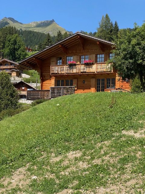 “LE MARTINET”EXCEPTIONAL LOG CABIN CHALET WITH A GARAGE STUNNING VIEW OF THE DIABLERETS MASSIF  QUIET, JUST 7 MINUTES FROM THE VILLAGE