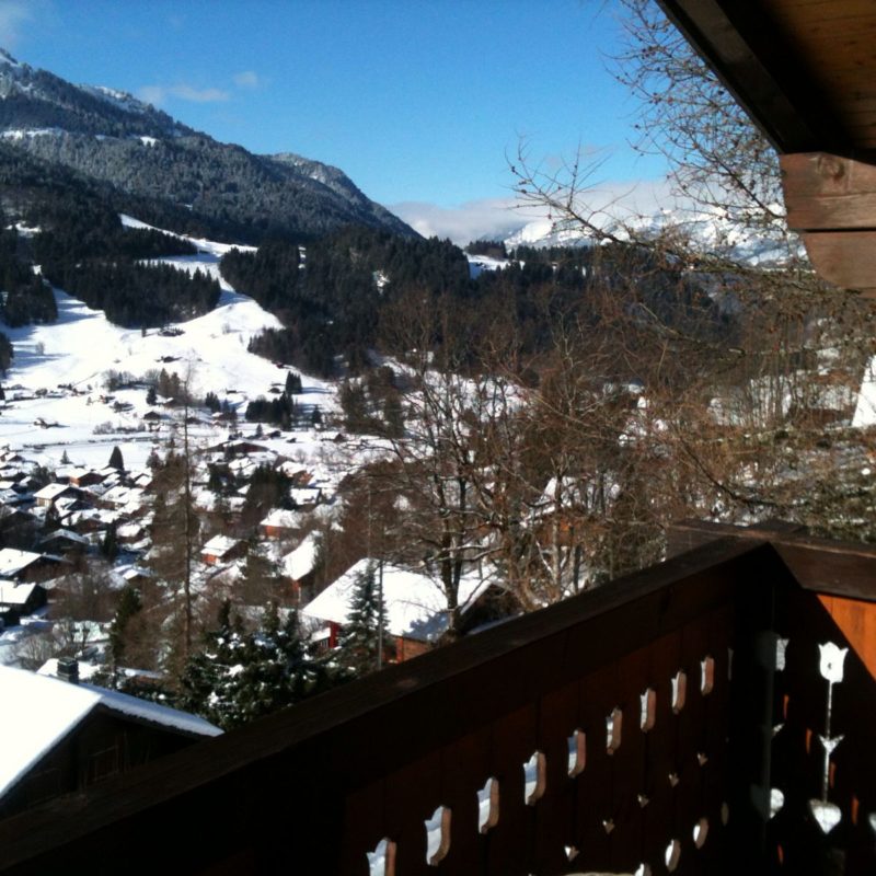 CONDOMINIUM LISE-MARIE 2BEAUTIFUL APARTMENT VERY CALM AND EASY-TO-ACCESS TRANSLATION MAGNIFICIENT VIEW ON THE VILLAGE AND THE MASSIF DIABLERETS