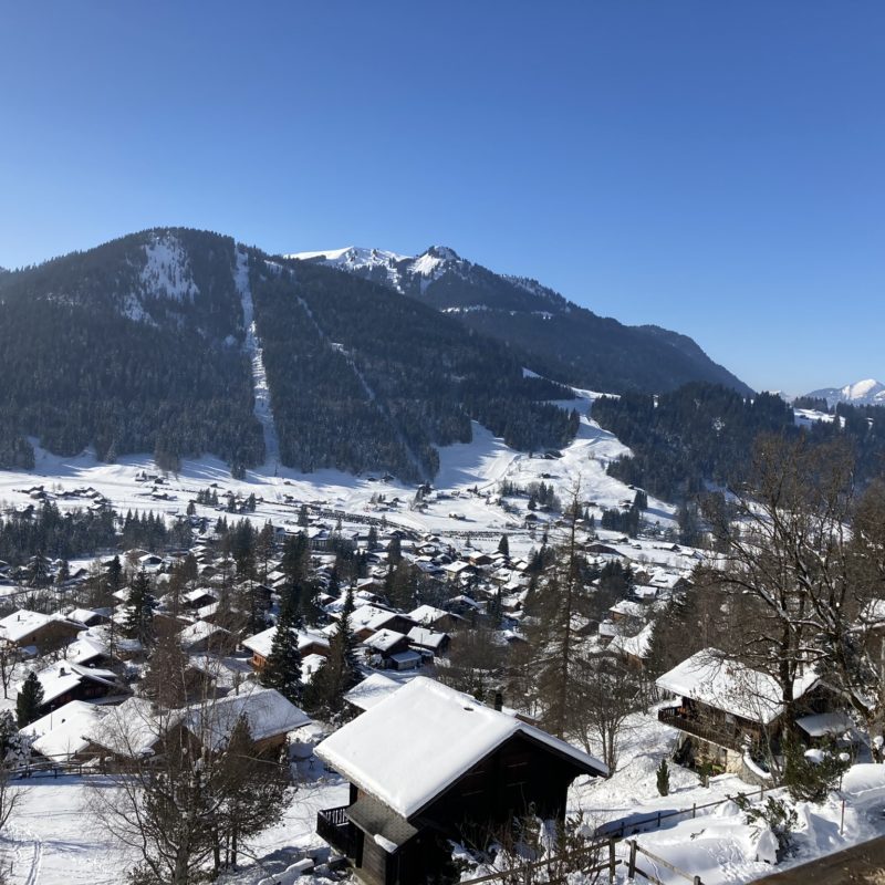 PPE LISE-MARIE 2SUPERBE APPARTEMENT FACILE D'ACCES ET TRES TRANQUILLE VUE MAGNIFIQUE SUR LE MASSIF DES DIABLERETS 