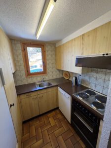 CONDOMINIUM PPE ROCHER C SUPERB DUPLEX APARTMENT EASY ACCESS AND VERY QUIET BREATHTAKING VIEW OF THE DIABLERETS MASSIF