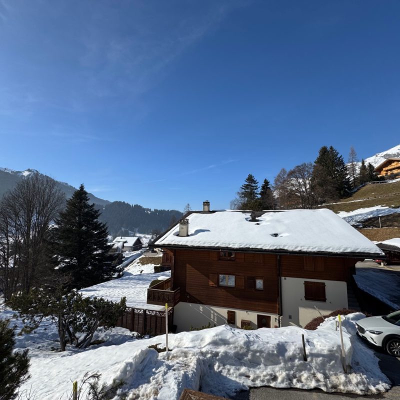 CONDOMINIUM  PPE ROCHER CSUPERB DUPLEX APARTMENT EASY ACCESS AND VERY QUIET BREATHTAKING VIEW OF THE DIABLERETS MASSIF