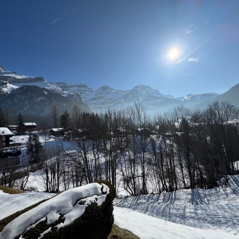 PPE LE ROCHER CSUPERBE APPARTEMENT EN DUPLEX FACILE D'ACCES ET TRES TRANQUILLE VUE MAGNIFIQUE SUR LE MASSIF DES DIABLERETS 