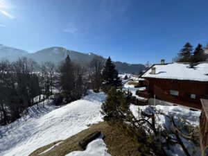CONDOMINIUM PPE ROCHER C SUPERB DUPLEX APARTMENT EASY ACCESS AND VERY QUIET BREATHTAKING VIEW OF THE DIABLERETS MASSIF