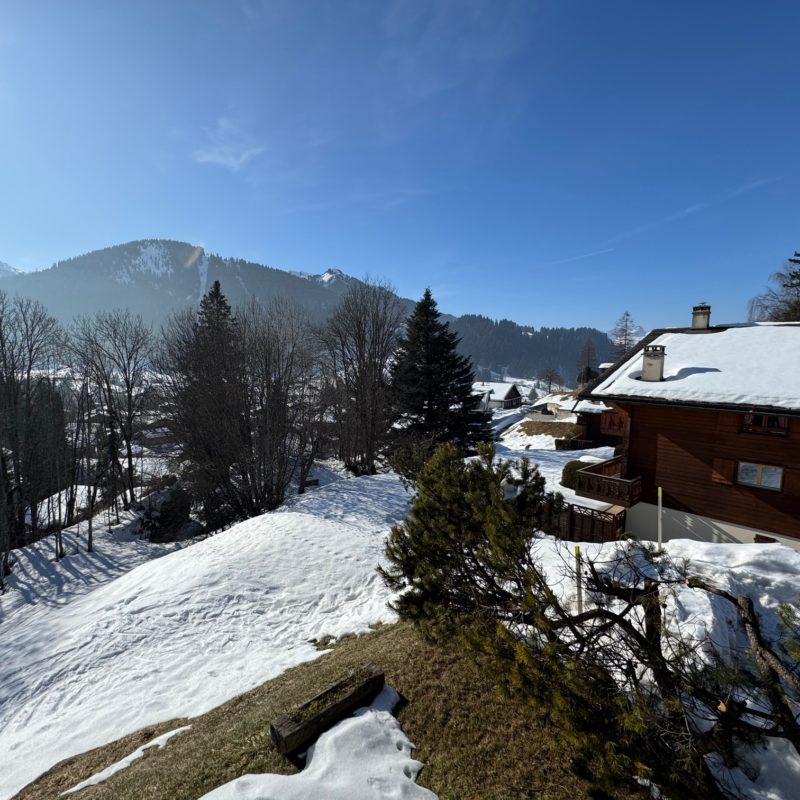 PPE LE ROCHER CSUPERBE APPARTEMENT EN DUPLEX FACILE D'ACCES ET TRES TRANQUILLE VUE MAGNIFIQUE SUR LE MASSIF DES DIABLERETS 