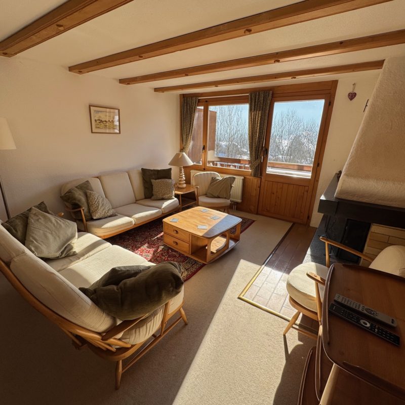 CONDOMINIUM  PPE ROCHER CSUPERB DUPLEX APARTMENT EASY ACCESS AND VERY QUIET BREATHTAKING VIEW OF THE DIABLERETS MASSIF