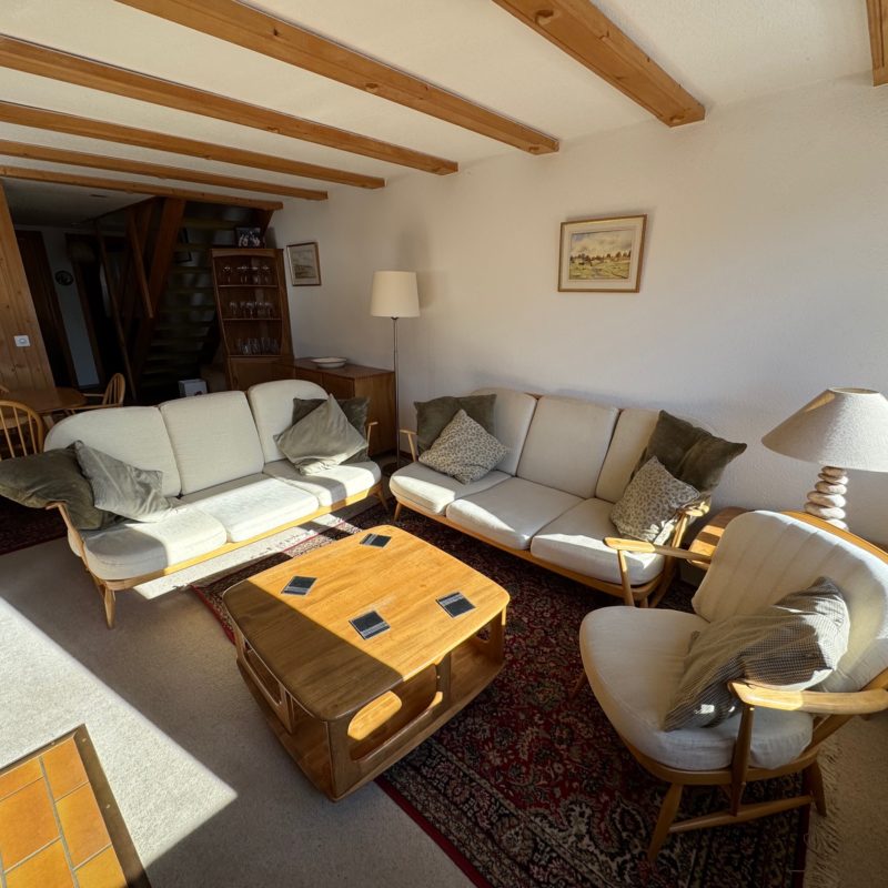 PPE LE ROCHER CSUPERBE APPARTEMENT EN DUPLEX FACILE D'ACCES ET TRES TRANQUILLE VUE MAGNIFIQUE SUR LE MASSIF DES DIABLERETS 