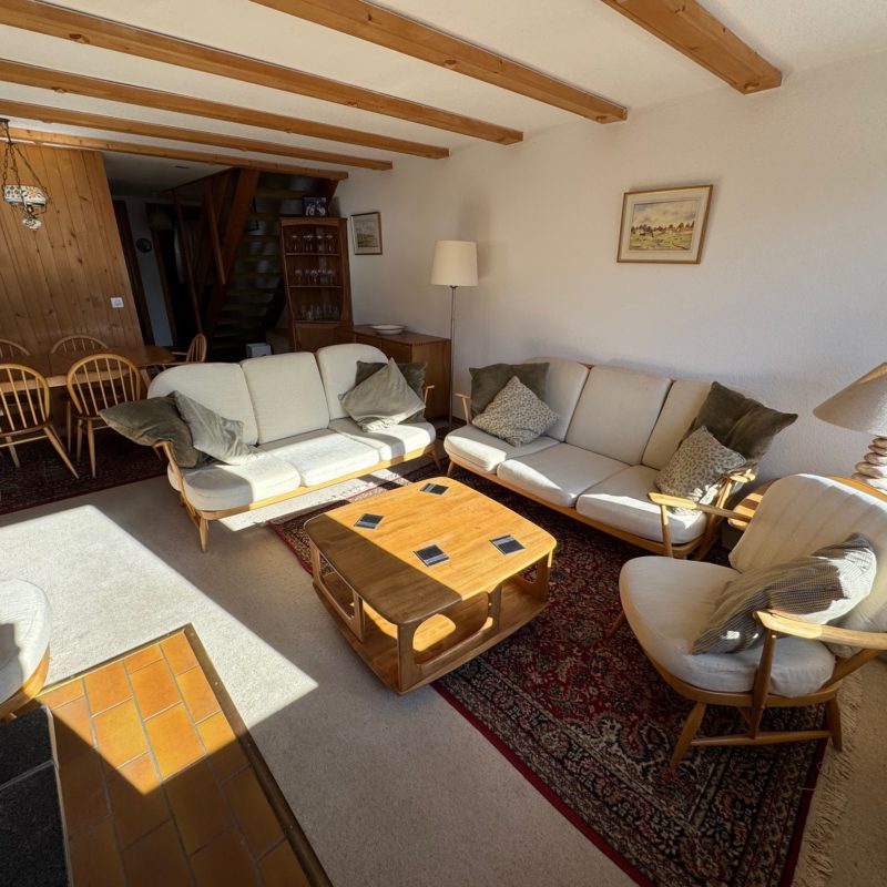 PPE LE ROCHER CSUPERBE APPARTEMENT EN DUPLEX FACILE D'ACCES ET TRES TRANQUILLE VUE MAGNIFIQUE SUR LE MASSIF DES DIABLERETS 