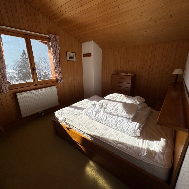 PPE LE ROCHER CSUPERBE APPARTEMENT EN DUPLEX FACILE D'ACCES ET TRES TRANQUILLE VUE MAGNIFIQUE SUR LE MASSIF DES DIABLERETS 