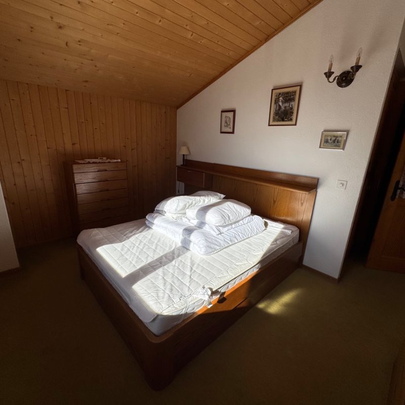 PPE LE ROCHER CSUPERBE APPARTEMENT EN DUPLEX FACILE D'ACCES ET TRES TRANQUILLE VUE MAGNIFIQUE SUR LE MASSIF DES DIABLERETS 