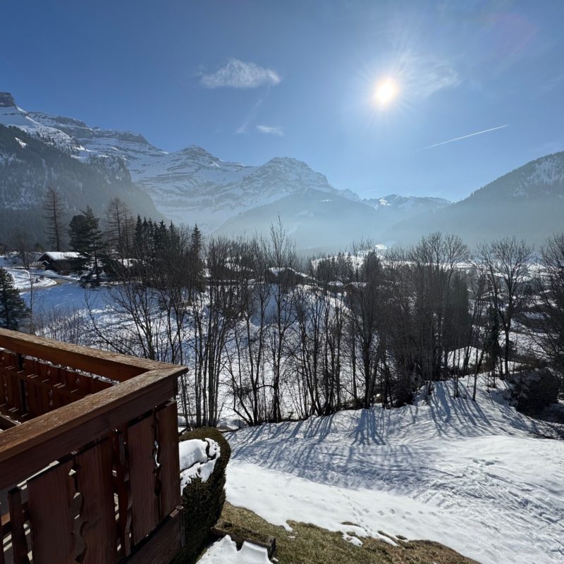 PPE LE ROCHER CSUPERBE APPARTEMENT EN DUPLEX FACILE D'ACCES ET TRES TRANQUILLE VUE MAGNIFIQUE SUR LE MASSIF DES DIABLERETS 