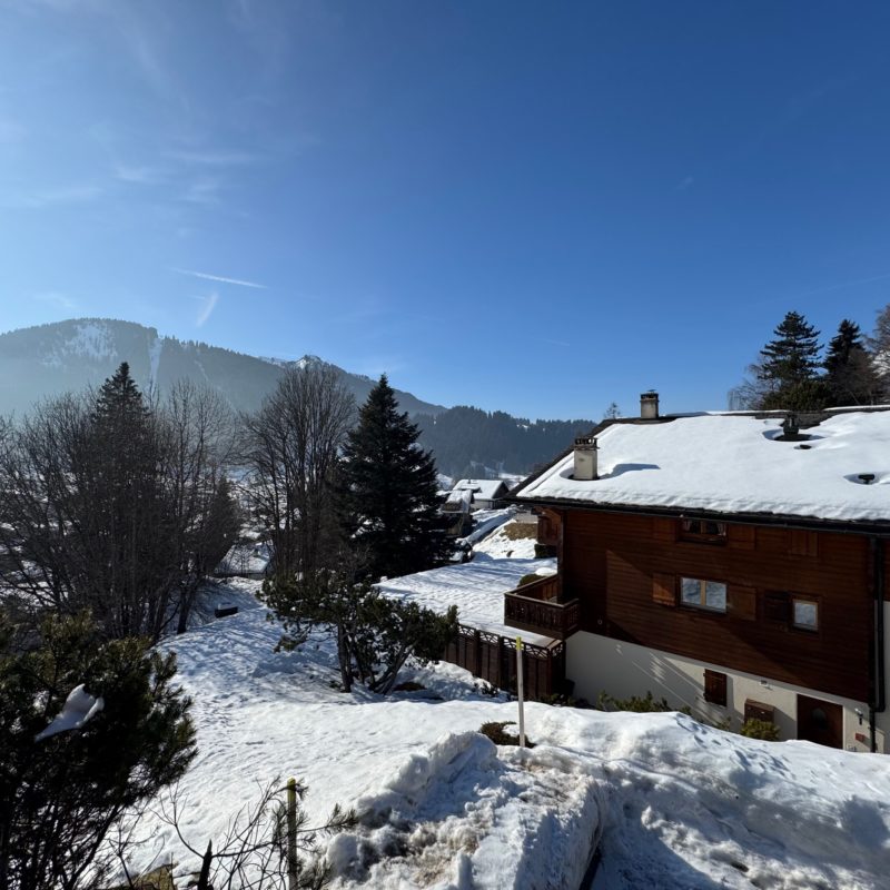 PPE LE ROCHER CSUPERBE APPARTEMENT EN DUPLEX FACILE D'ACCES ET TRES TRANQUILLE VUE MAGNIFIQUE SUR LE MASSIF DES DIABLERETS 