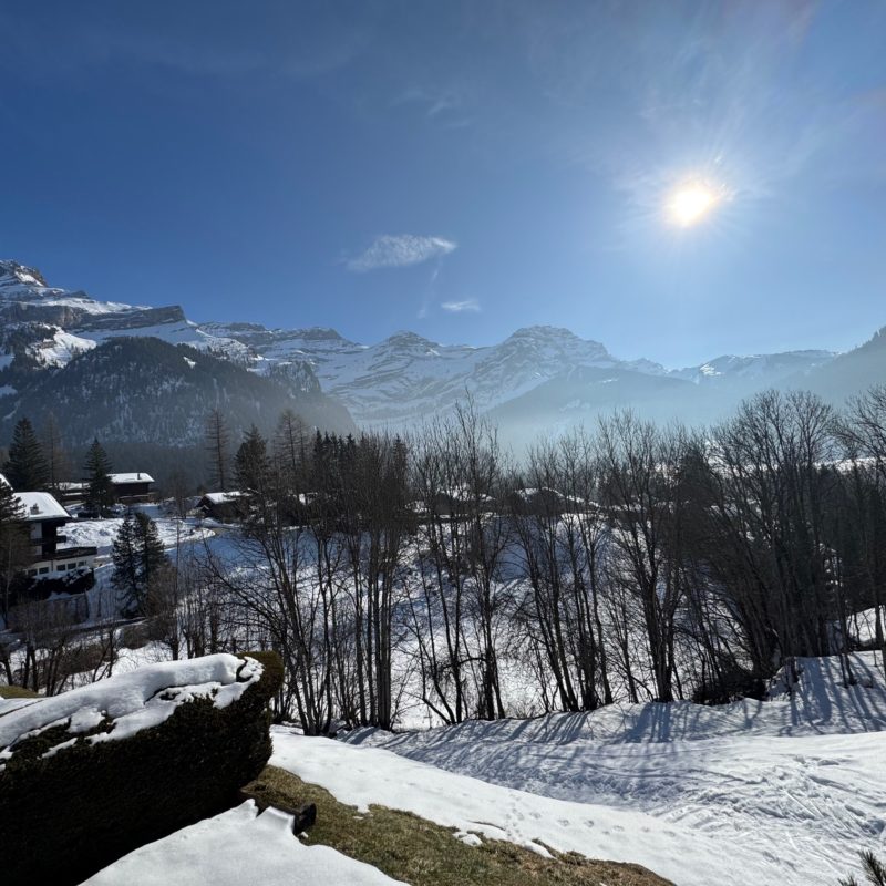 PPE LE ROCHER CSUPERBE APPARTEMENT EN DUPLEX FACILE D'ACCES ET TRES TRANQUILLE VUE MAGNIFIQUE SUR LE MASSIF DES DIABLERETS 