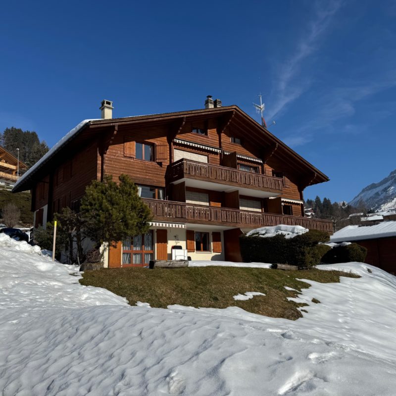 CONDOMINIUM  PPE ROCHER CSUPERB DUPLEX APARTMENT EASY ACCESS AND VERY QUIET BREATHTAKING VIEW OF THE DIABLERETS MASSIF