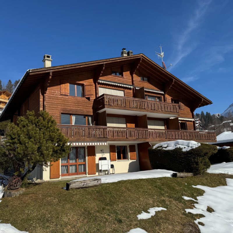 PPE LE ROCHER CSUPERBE APPARTEMENT EN DUPLEX FACILE D'ACCES ET TRES TRANQUILLE VUE MAGNIFIQUE SUR LE MASSIF DES DIABLERETS 