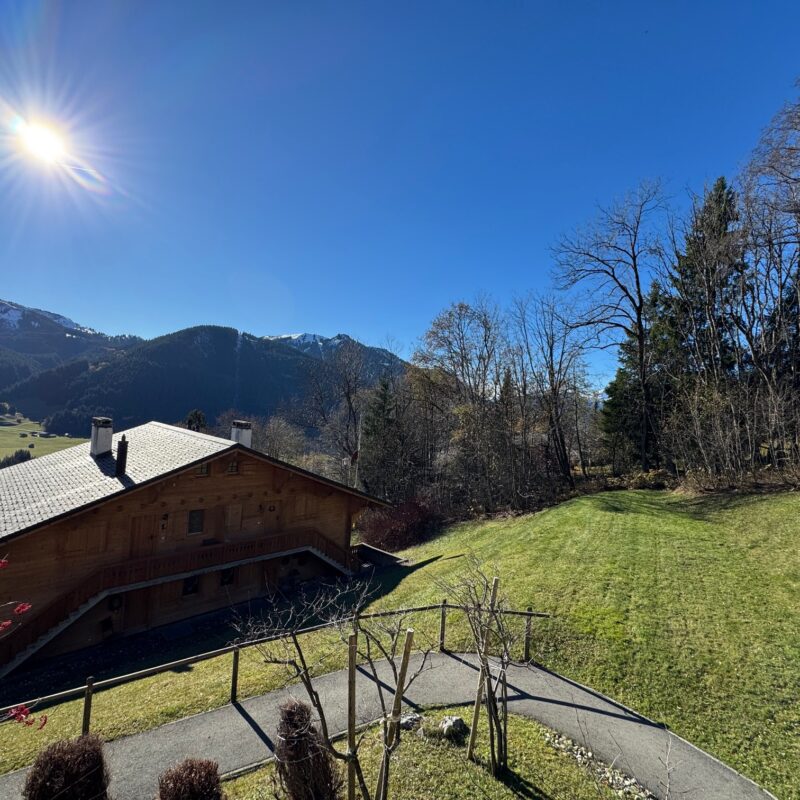 PPE PRE-RIAUX C VUE MAGNIFIQUE SUR LE MASSIF DES DIABLERETS AVEC UN GARAGE JOLI APPARTEMENT MEUBLE