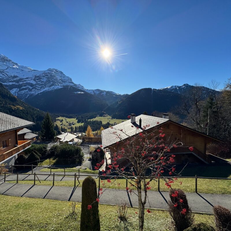 PPE PRE-RIAUX C VUE MAGNIFIQUE SUR LE MASSIF DES DIABLERETS AVEC UN GARAGE JOLI APPARTEMENT MEUBLE