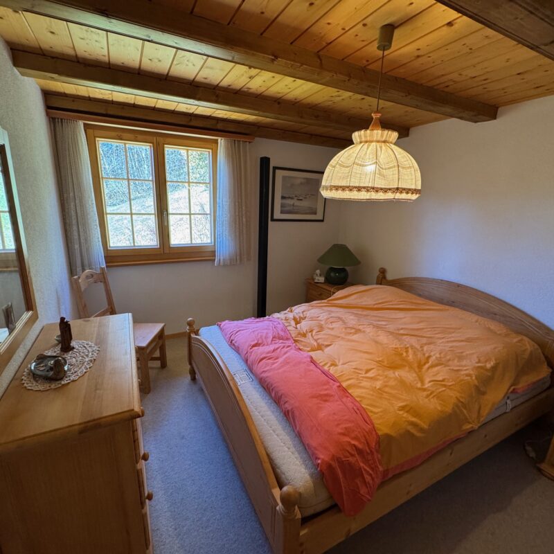 PPE PRE-RIAUX C VUE MAGNIFIQUE SUR LE MASSIF DES DIABLERETS AVEC UN GARAGE JOLI APPARTEMENT MEUBLE