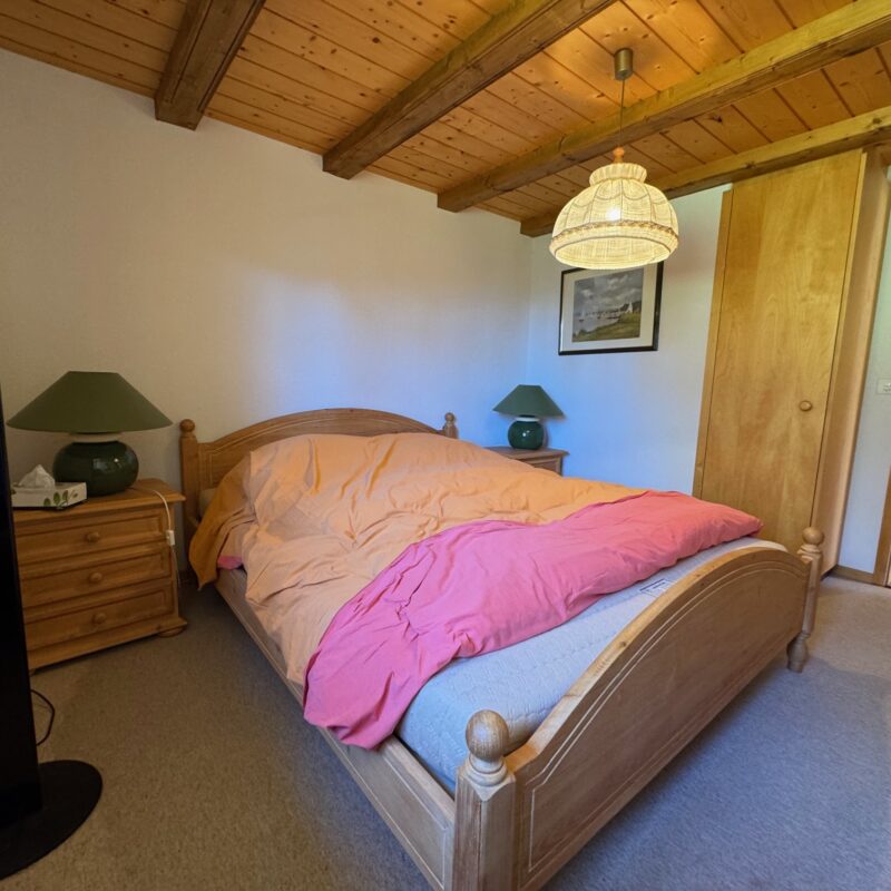 PPE PRE-RIAUX C VUE MAGNIFIQUE SUR LE MASSIF DES DIABLERETS AVEC UN GARAGE JOLI APPARTEMENT MEUBLE