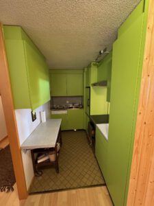 CONDOMINIUM PPE TORRENT NEAR THE COOP AND THE MEDICAL OFFICE WITH A PARKING SPACE WITH A VIEW OF THE DIABLERETS MASSIF