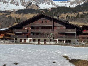 PPE TORRENT VUE SUR LE MASSIF DES DIABLERETS  PRES DE LA COOP ET DU CABINET MEDICAL AVEC UNE PLACE DE PARC