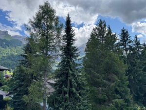 PPE LE ROCHER E JOLI PETIT APPARTEMENT TRES TRANQUILLE ET PRES DU VILLAGE  AVEC UNE PLACE DE PARC