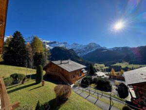 PPE LE ROCHER C VUE MAGNIFIQUE SUR LE MASSIF DES DIABLERETS AVEC UN GARAGE JOLI APPARTEMENT MEUBLE