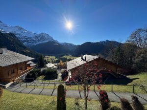 PPE LE ROCHER C VUE MAGNIFIQUE SUR LE MASSIF DES DIABLERETS AVEC UN GARAGE JOLI APPARTEMENT MEUBLE