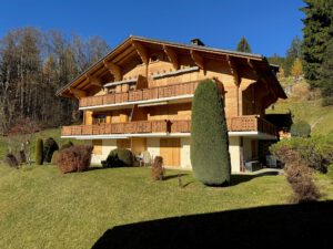 PPE LE ROCHER C VUE MAGNIFIQUE SUR LE MASSIF DES DIABLERETS AVEC UN GARAGE JOLI APPARTEMENT MEUBLE