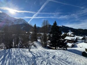 PPE ROCHER B MAGNIFIQUE  APPARTEMENT AU VILLAGE  AVEC UN COUVERT A VOITURE
